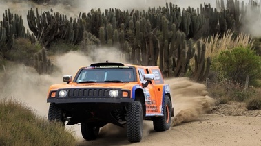 Dakar 2013 Gordon