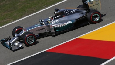 F1 GP Allemagne 2014 Mercedes Hamilton profil couleurs Allemagne