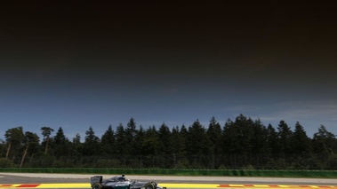 F1 GP Allemagne 2014 Mercedes Hamilton profil