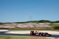 F1 GP Hongrie Red Bull profil