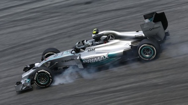 F1 GP Malaisie 2014 Mercedes Rosberg profil