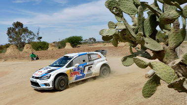WRC Mexxique 2013 Volkswagen Ogier cactus